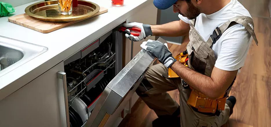 Same Day Dishwasher Not Draining Repair in Cranston